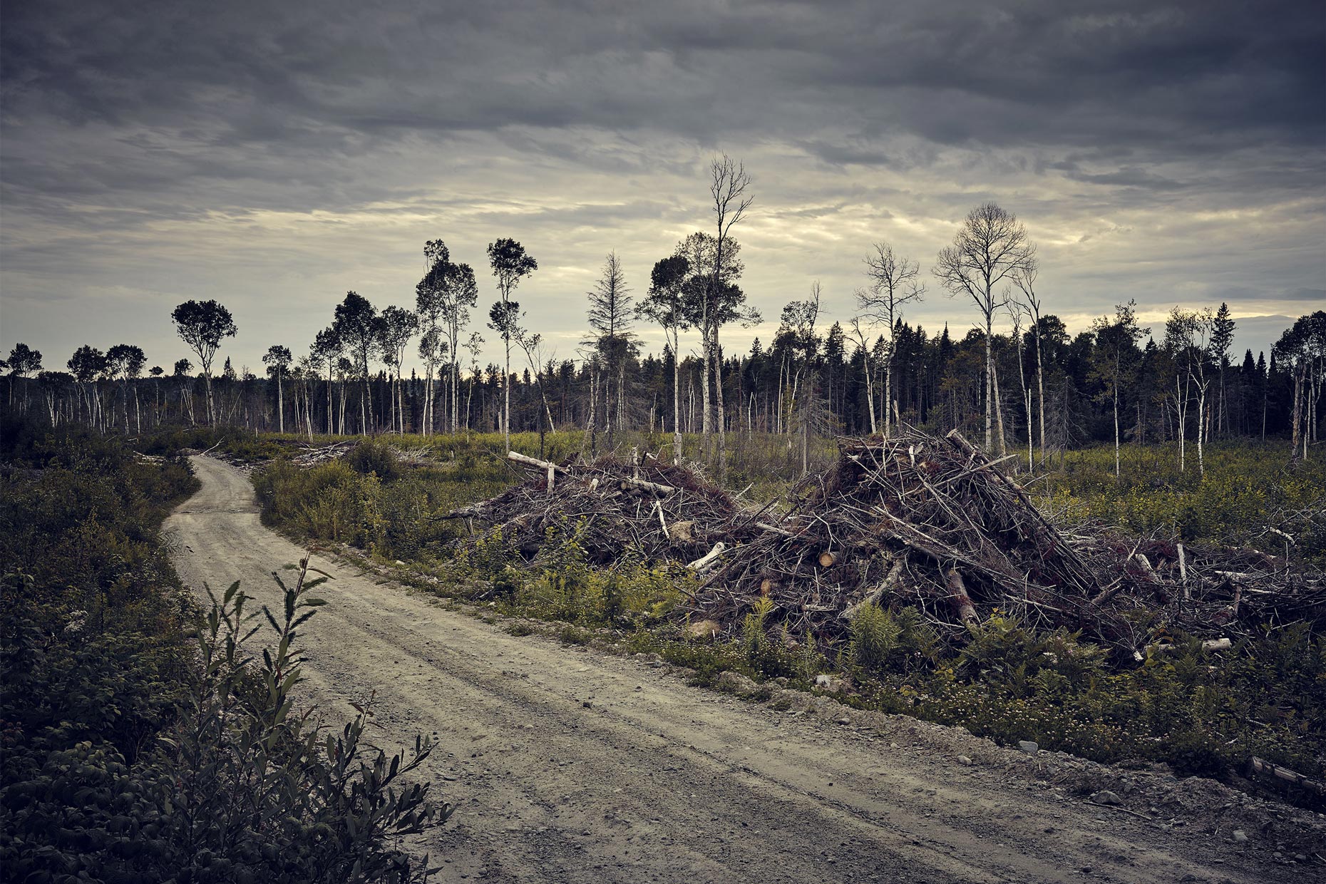 CLEARCUT_083016_214_1860px